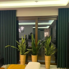 Living room drape, elegant matt, single colour, bottle green, made to measure